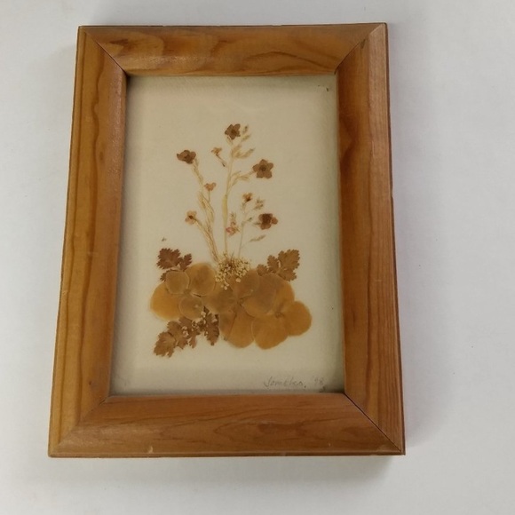 Pressed Flower Framed Wall Art 1998 Artist
Signed Floral Decor - Picture 2 of 12
